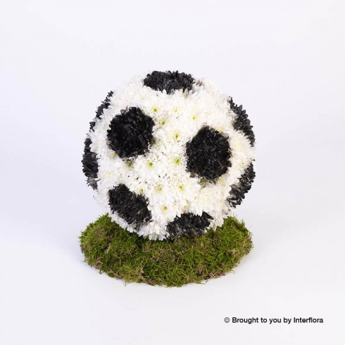 Football Tribute product image
