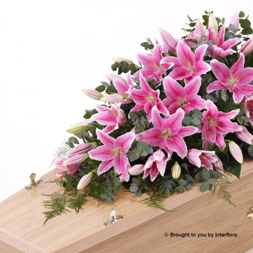 Large Lily Casket Spray - Pink product image