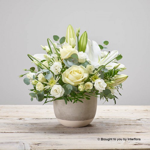 Elegant Sympathy Arrangement - Florist Choice product image